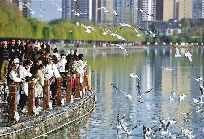 中2025春节最全活动指南EVO视讯平台速收藏！汉(图2)